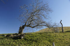 DSC6069-scaled